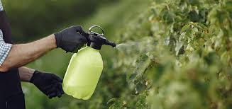 RIDDHI Foliar Spray